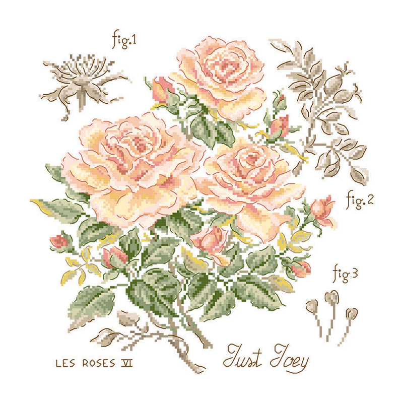 Rose "Just Joey" Study (rose) broderikit