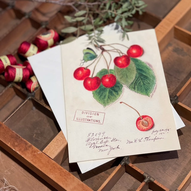 Vintage Cherries (m. konvolutt)