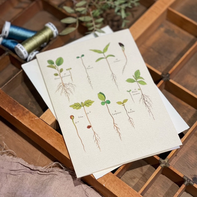 Vintage Seedlings (m. konvolutt)