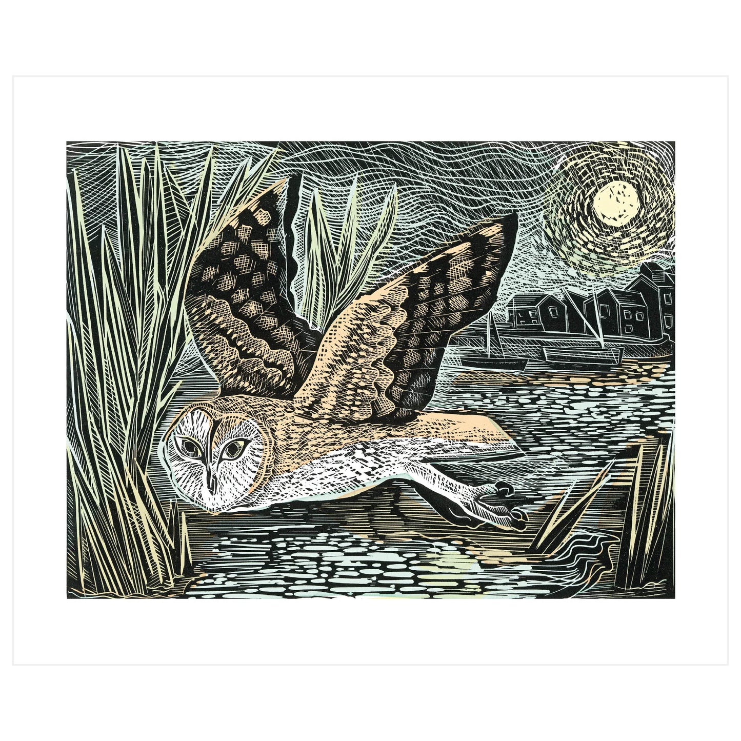 Marsh Owl (Kort m. konvolutt)