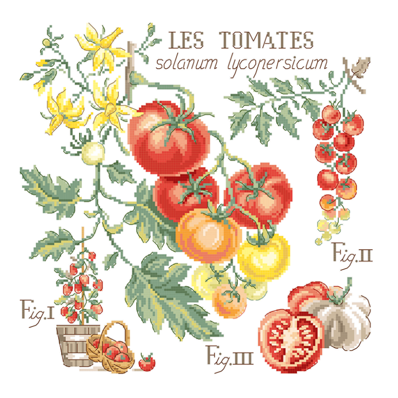Tomates Study (tomat) broderikit