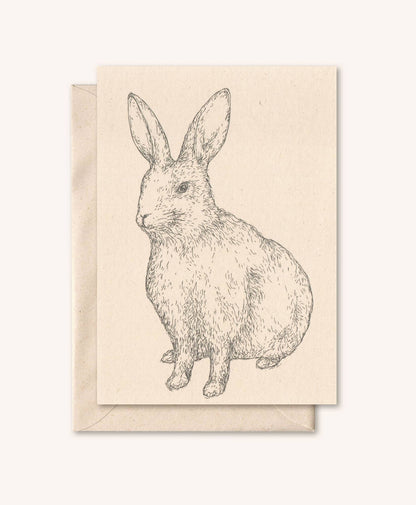 Kort med konvolutt: Hare