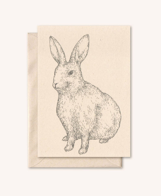 Kort med konvolutt: Hare