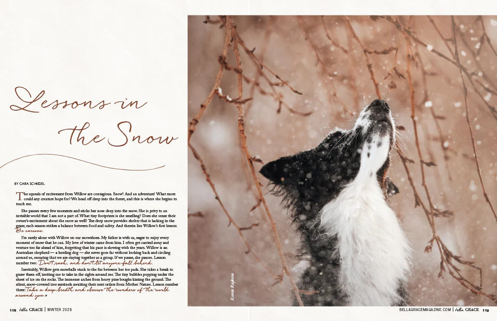 Bella Grace Magazine Dec/Jan/Feb 2026