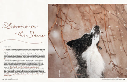 Bella Grace Magazine Dec/Jan/Feb 2026