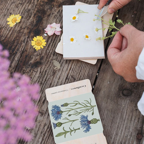 Blomsterpresse Pocket