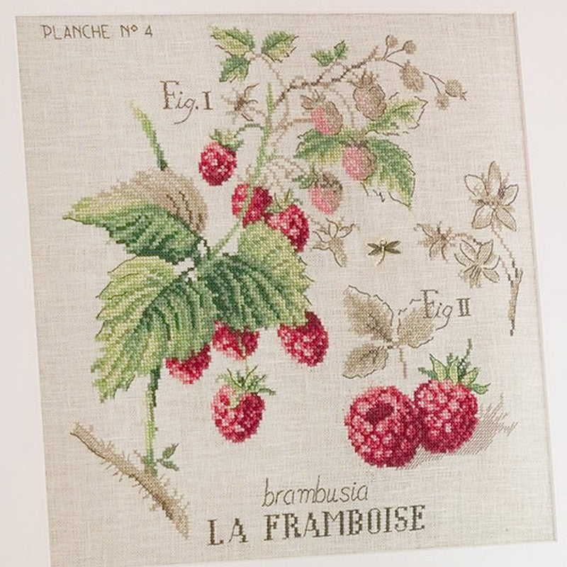 Framboise Study (bringebær) broderikit
