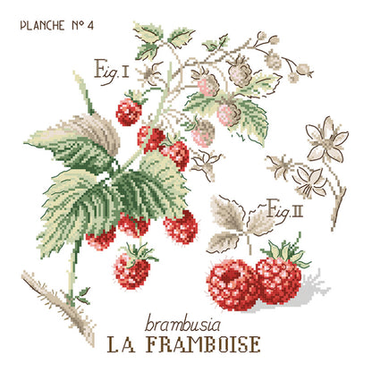 Framboise Study (bringebær) broderikit