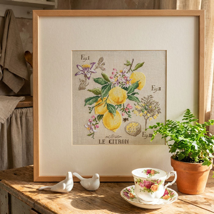 Citron Study (sitron) broderikit
