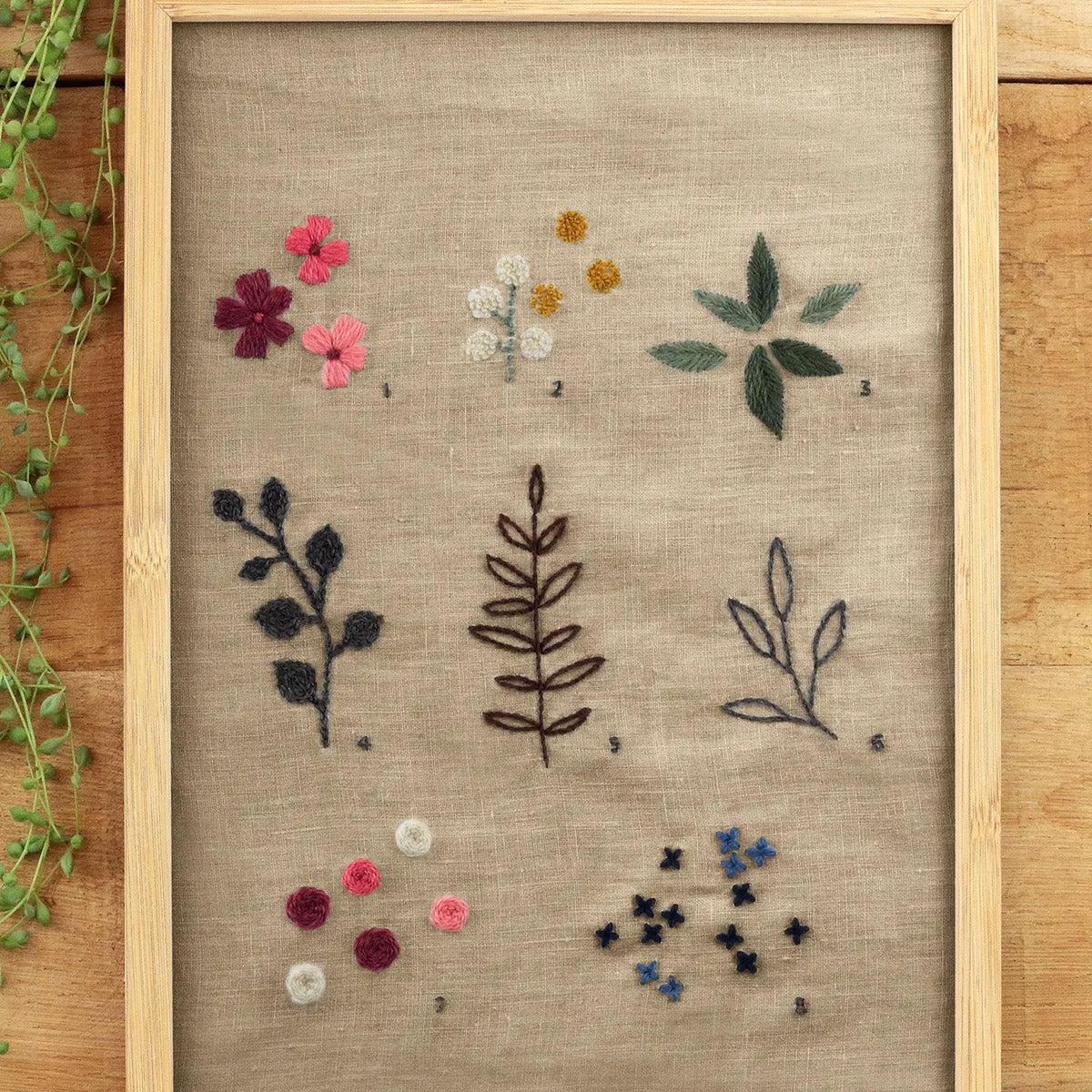 DMC Eco Vita The Botanist´s Cabinet