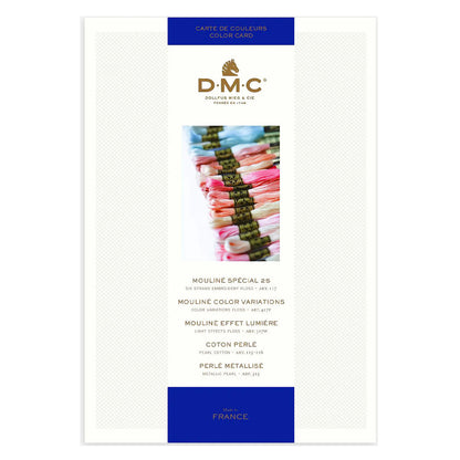 DMC Mouliné fargekart
