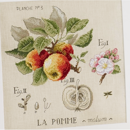 Pomme Study (eple) broderikit