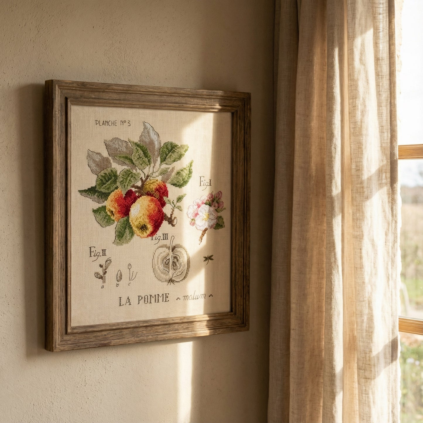 Pomme Study (eple) broderikit
