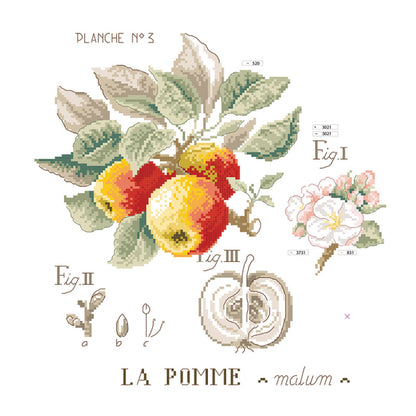 Pomme Study (eple) broderikit