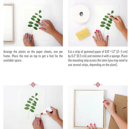 The Little Book of Flower Pressing (Lazerges)