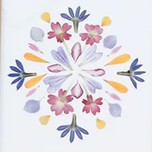 The Little Book of Flower Pressing (Lazerges)