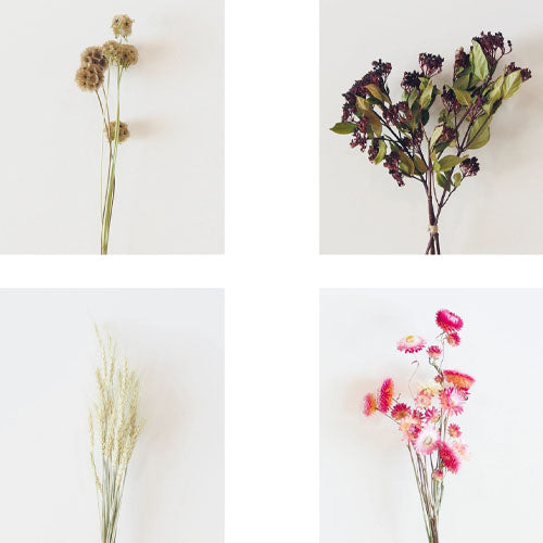 Forever Flowers (De Vere)