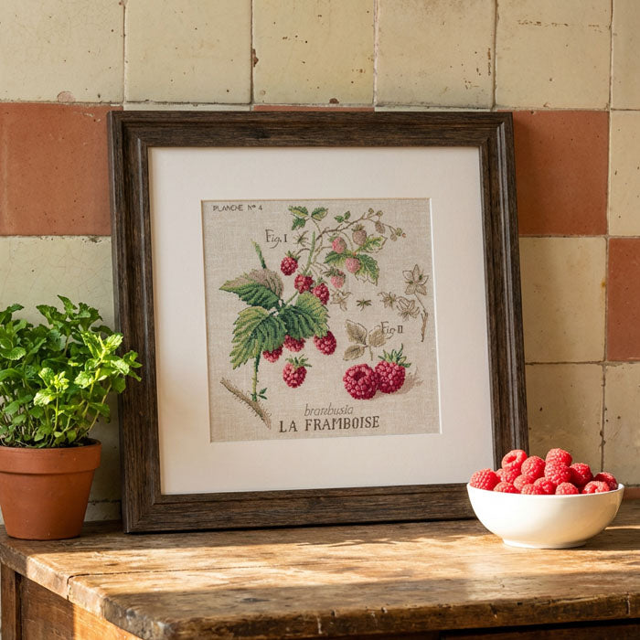 Framboise Study (bringebær) broderikit