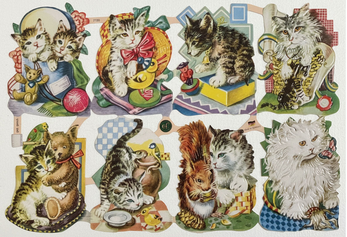 Glansbilder Kattunger