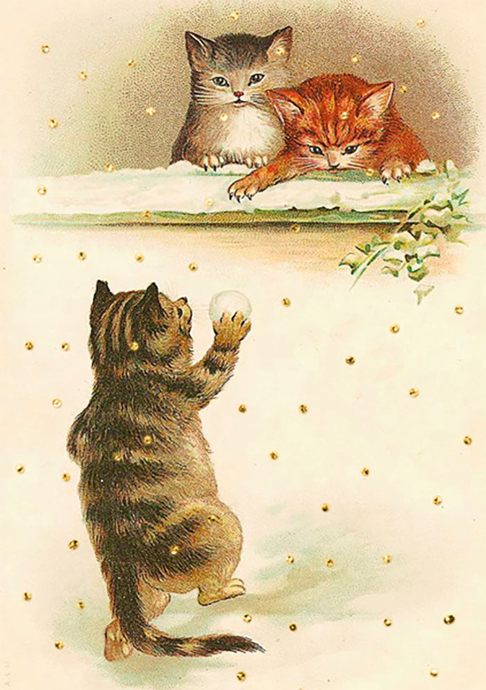 Katter kaster snøball med glitter (m. konvolutt)
