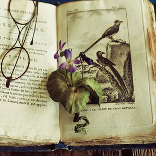 The Herbarium of Fabric Flowers (Utopiano)