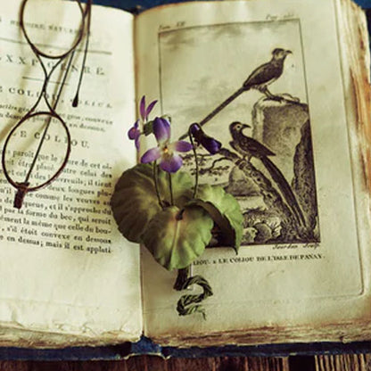 The Herbarium of Fabric Flowers (Utopiano)