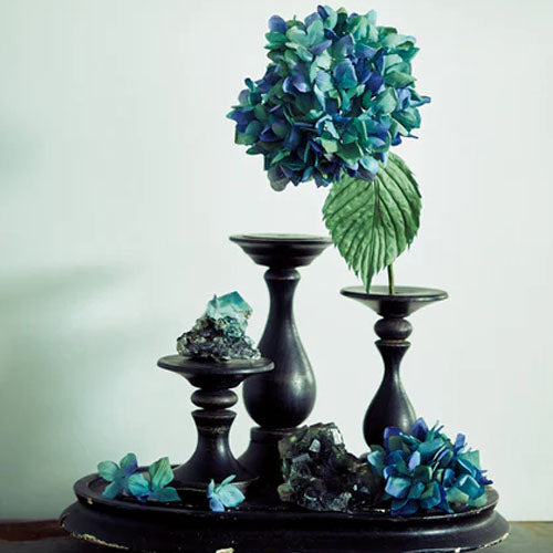 The Herbarium of Fabric Flowers (Utopiano)