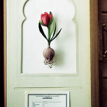 The Herbarium of Fabric Flowers (Utopiano)