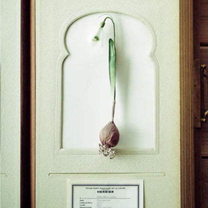 The Herbarium of Fabric Flowers (Utopiano)