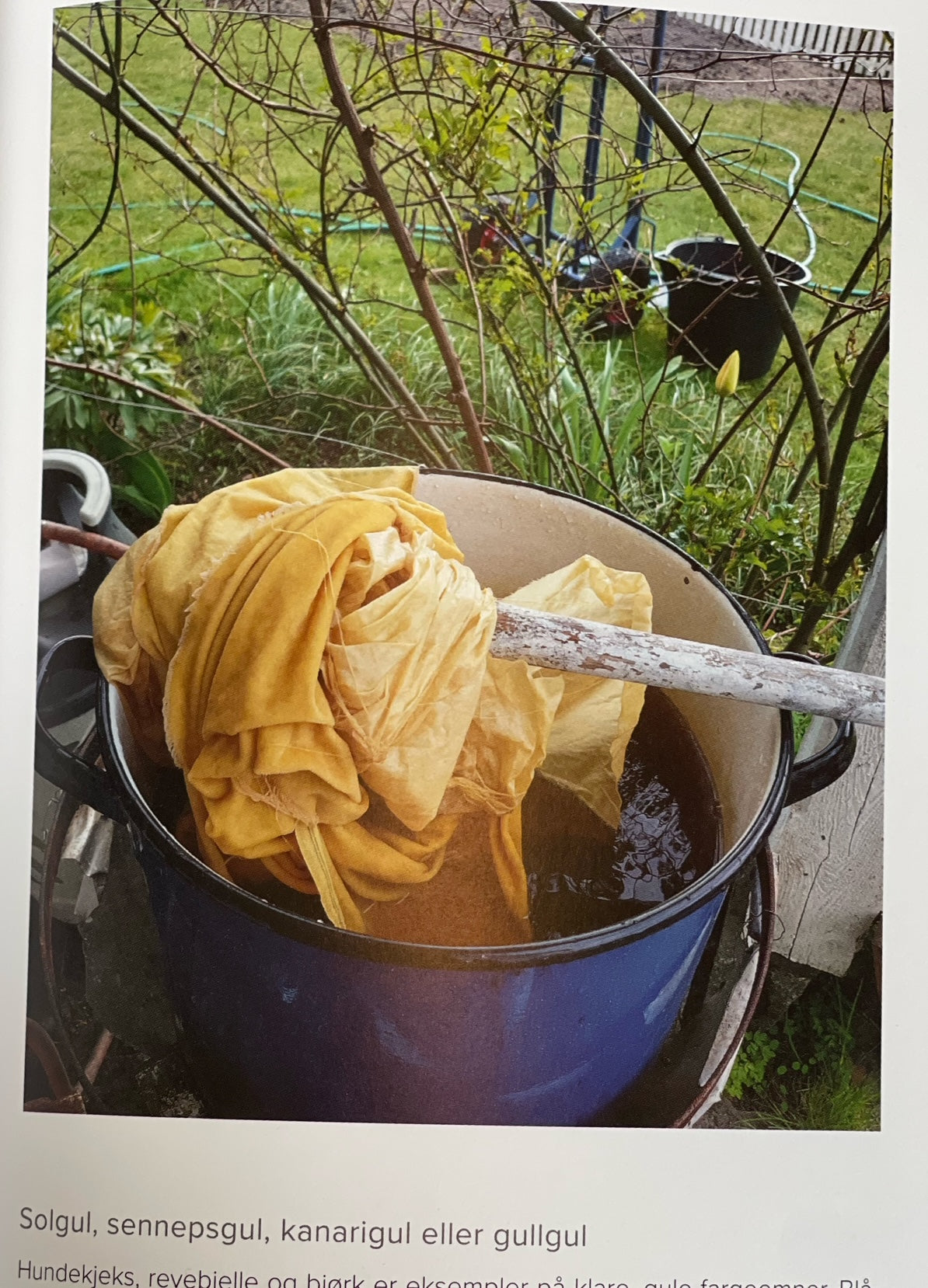 Plantefarging (Halvorsen/Kullerud)