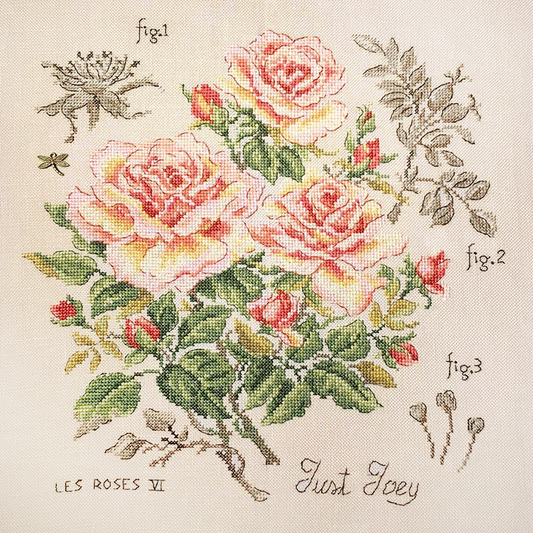 Rose "Just Joey" Study (rose) broderikit