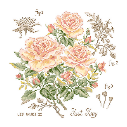 Rose "Just Joey" Study (rose) broderikit