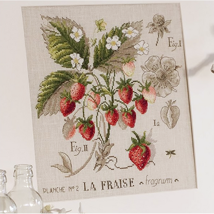 Fraise Study (jordbær) broderikit