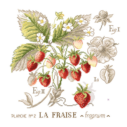 Fraise Study (jordbær) broderikit