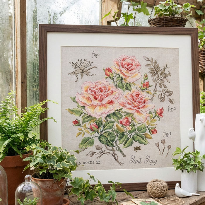 Rose "Just Joey" Study (rose) broderikit