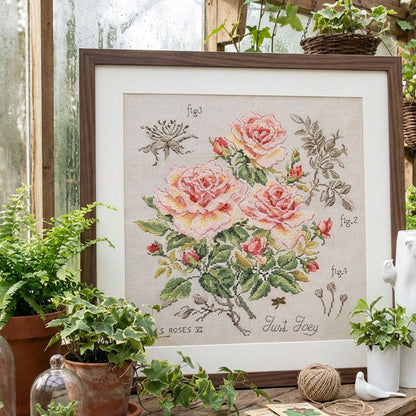Rose "Just Joey" Study (rose) broderikit