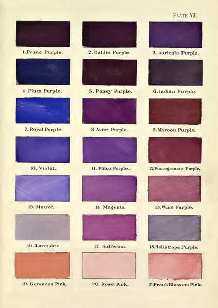 Vintage Colour Chart lilla (m. konvolutt)