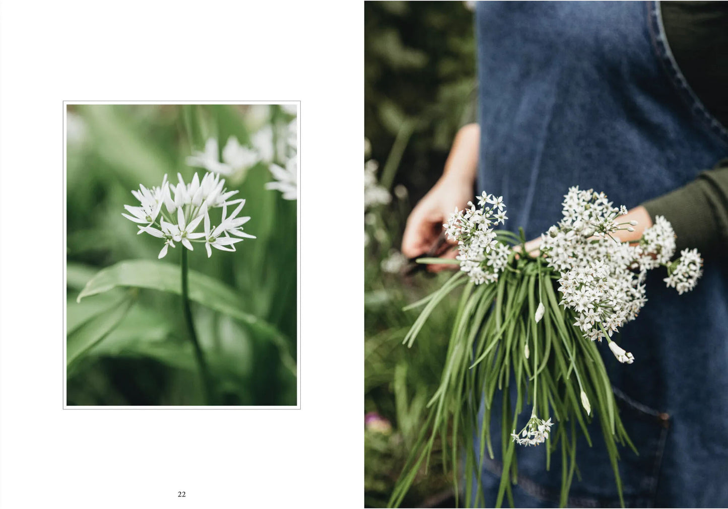 Living with Herbs (Vireaho/Antas)