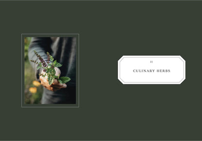 Living with Herbs (Vireaho/Antas)