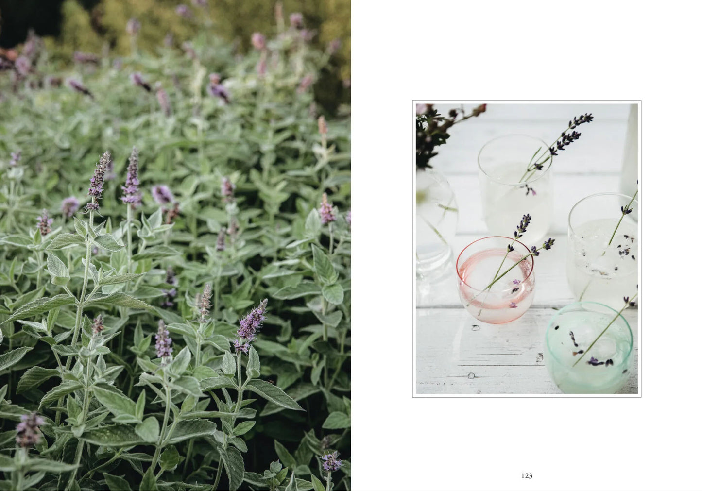 Living with Herbs (Vireaho/Antas)