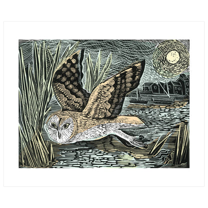 Marsh Owl (Kort m. konvolutt)