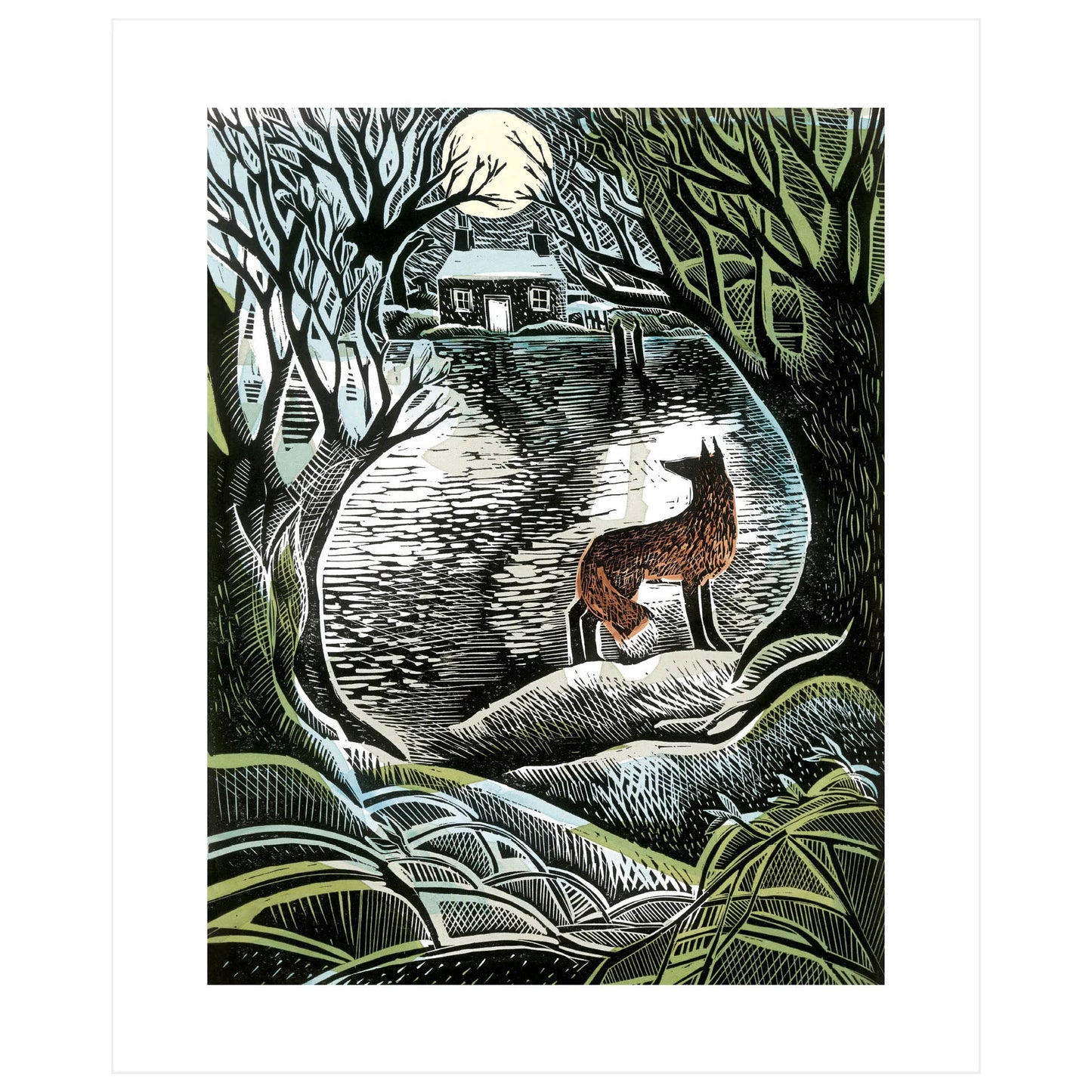 Midnight Fox (Kort m. konvolutt)