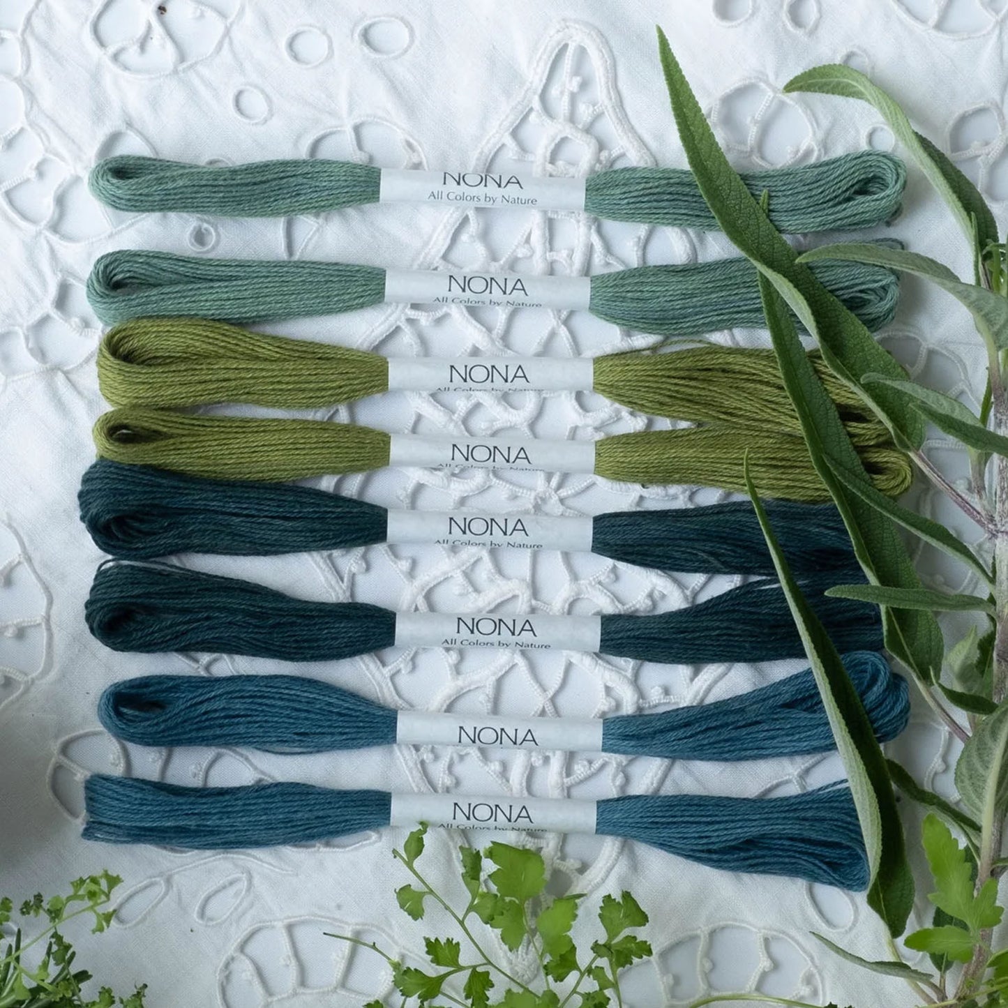 Nona Thread fargesett