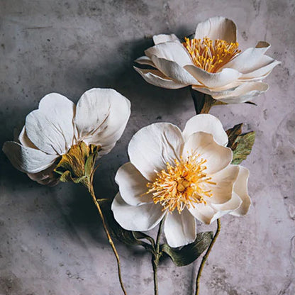 Paper Flower Magic (Jansson)