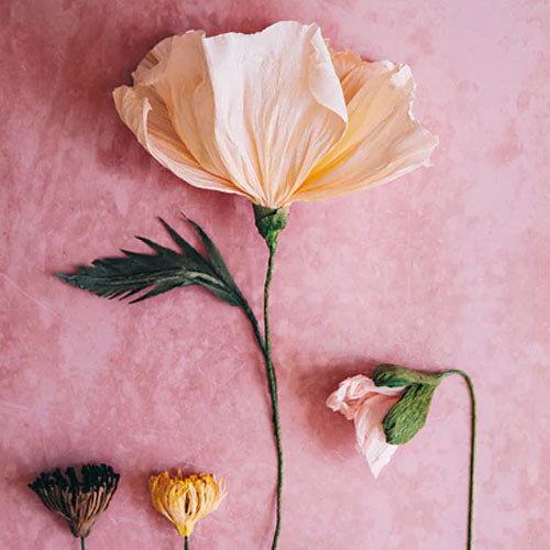 Paper Flower Magic (Jansson)