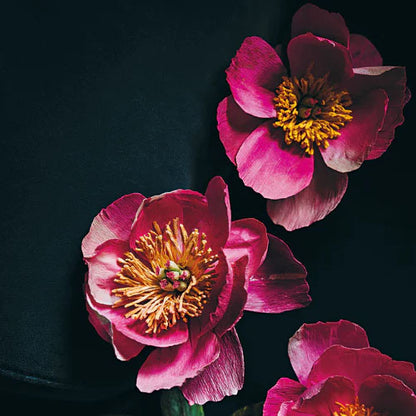 Paper Flower Magic (Jansson)