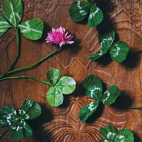 Paper Flower Magic (Jansson)