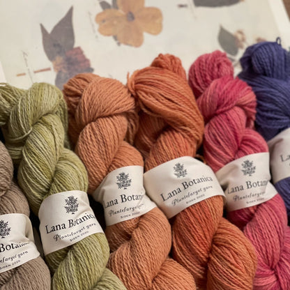 Plantefarget garn: Corriedale 50 g