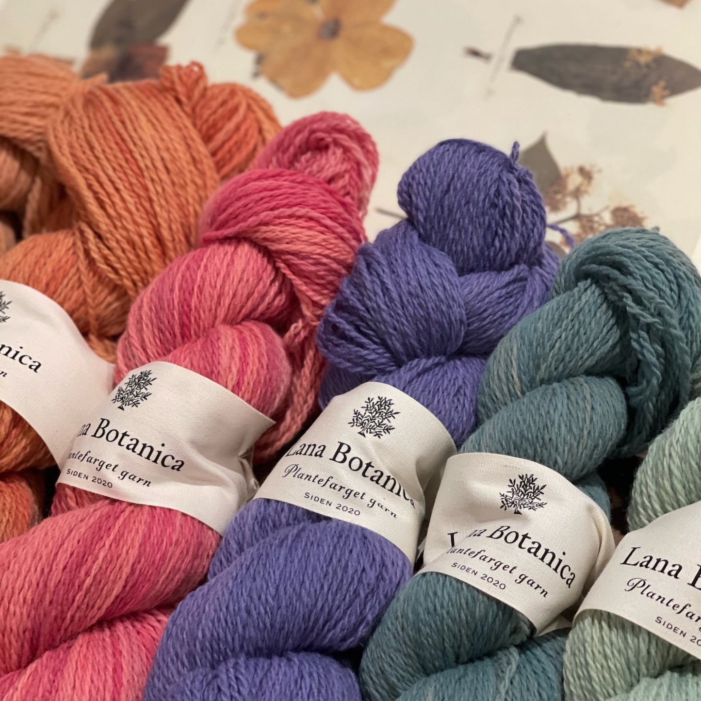 Plantefarget garn: Corriedale 50 g