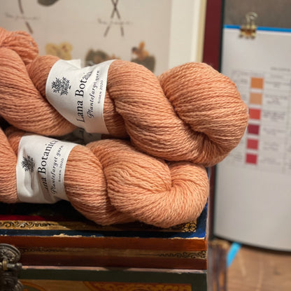 Plantefarget garn: Corriedale 50 g